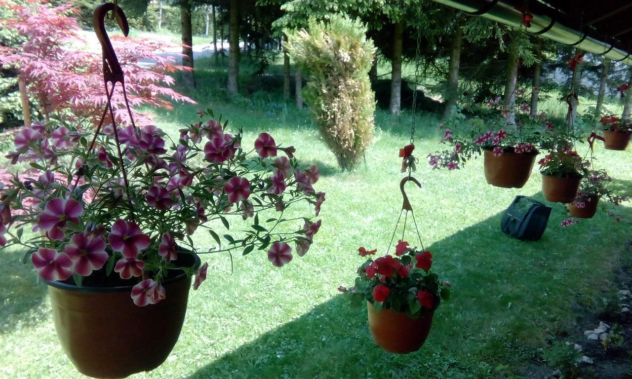 Apartmani Nais Zlatibor Exteriör bild