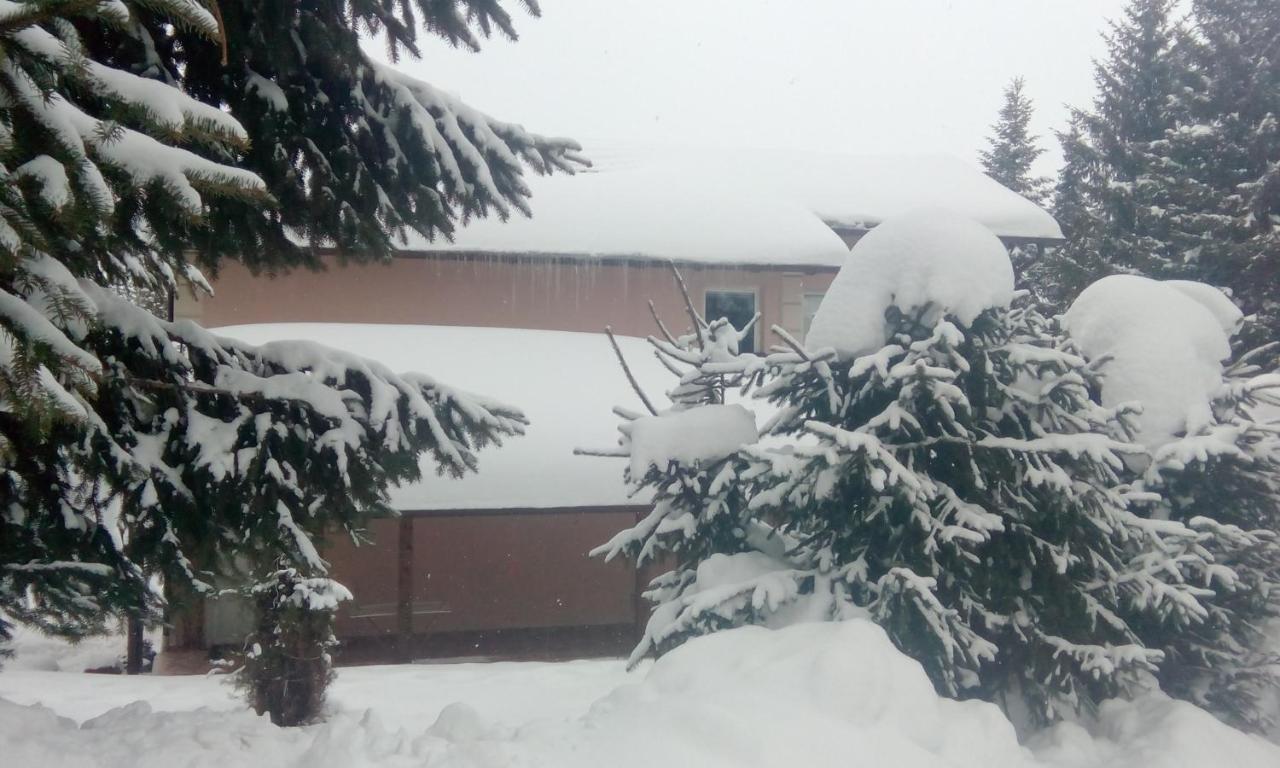 Apartmani Nais Zlatibor Exteriör bild